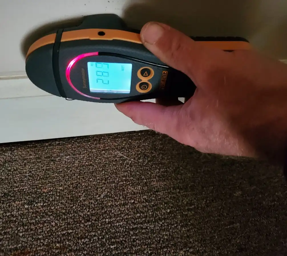 Moisture detection at baseboard during Sewage Cleanup & Sanitation in Westminster
